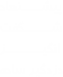 پیشنهاد شگفت انگیز دزدگیر ساده